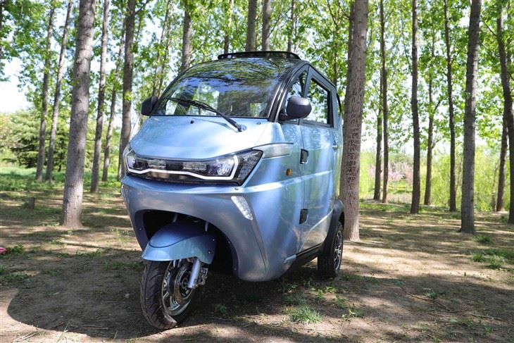 EEC COC DOT Low Speed Mini Electric Tricycle Low Speed Vehicle LSV
