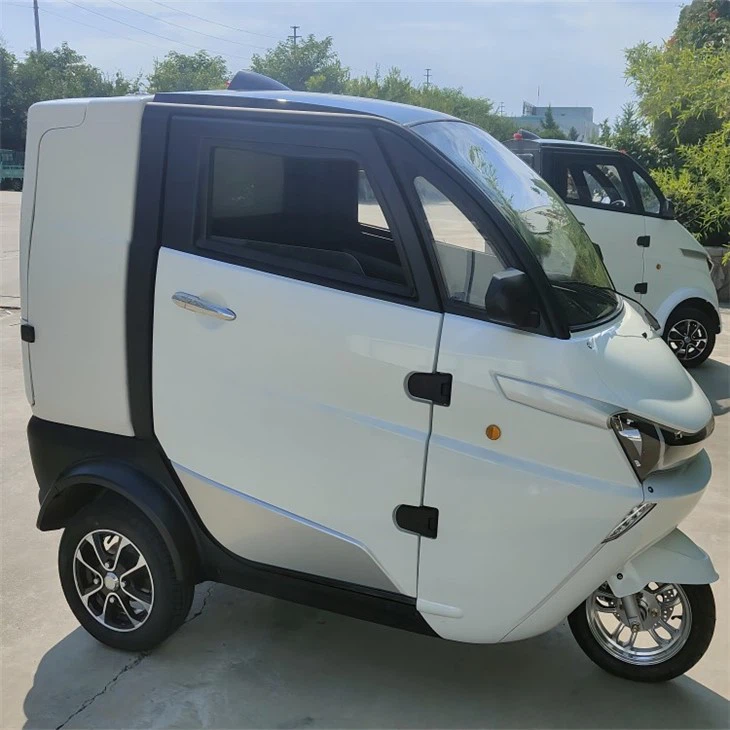 Low Price Three Wheeler Auto Electrico New EV With Cargo Box For Logistics Low Price Three Wheeler Auto Electrico New EV With Cargo Box For Logistics