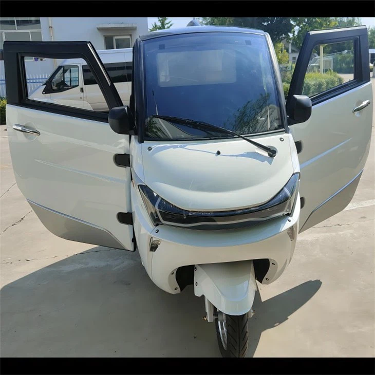 Low Price Three Wheeler Auto Electrico New EV With Cargo Box For Logistics Low Price Three Wheeler Auto Electrico New EV With Cargo Box For Logistics